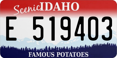 ID license plate E519403