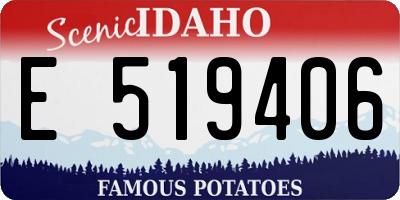 ID license plate E519406