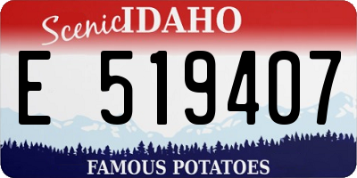 ID license plate E519407