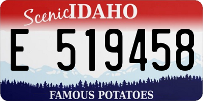 ID license plate E519458