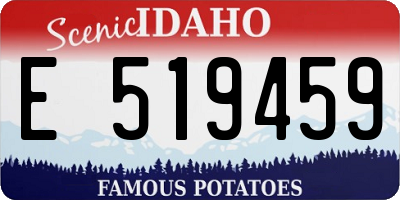 ID license plate E519459