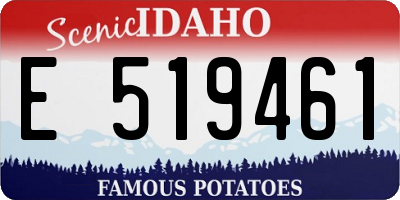 ID license plate E519461