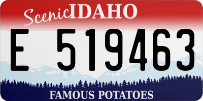 ID license plate E519463