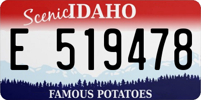 ID license plate E519478