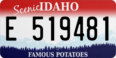 ID license plate E519481