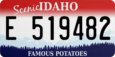 ID license plate E519482