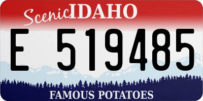 ID license plate E519485