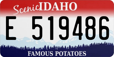ID license plate E519486