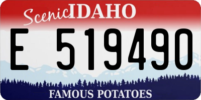ID license plate E519490