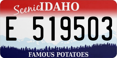ID license plate E519503