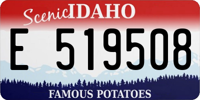 ID license plate E519508