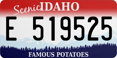 ID license plate E519525