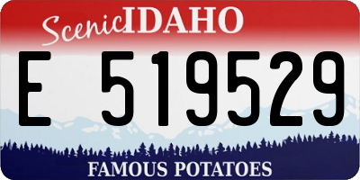 ID license plate E519529