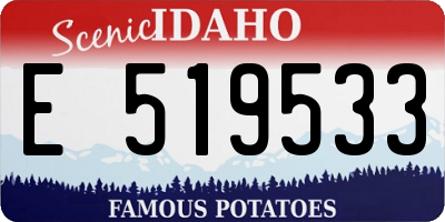 ID license plate E519533