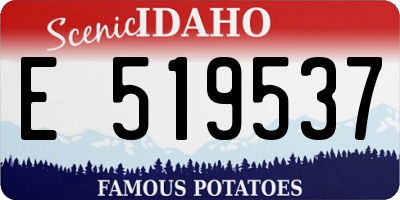 ID license plate E519537