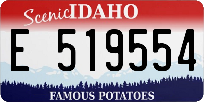 ID license plate E519554