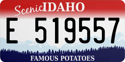 ID license plate E519557