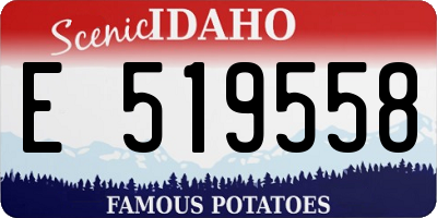 ID license plate E519558