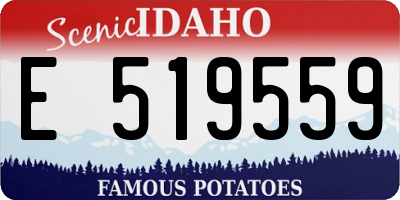 ID license plate E519559