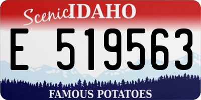 ID license plate E519563