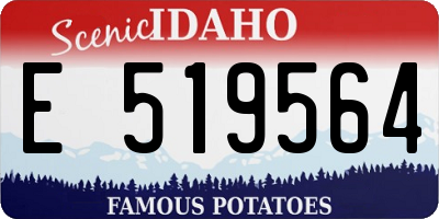 ID license plate E519564