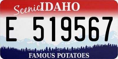 ID license plate E519567