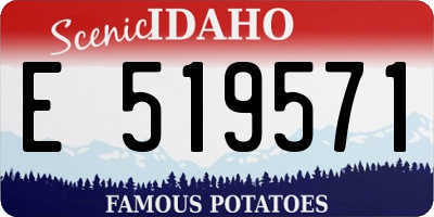 ID license plate E519571