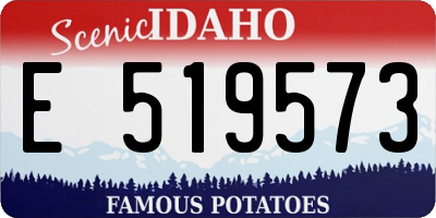 ID license plate E519573