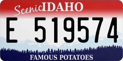ID license plate E519574