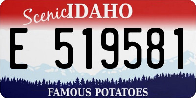 ID license plate E519581