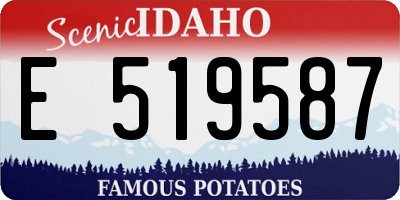 ID license plate E519587