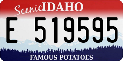 ID license plate E519595