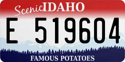 ID license plate E519604
