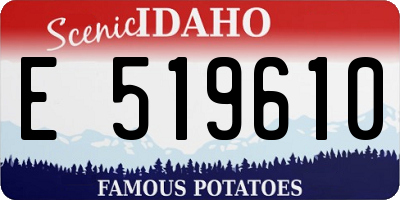 ID license plate E519610
