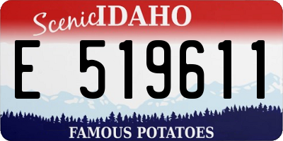 ID license plate E519611
