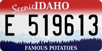 ID license plate E519613