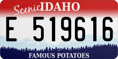 ID license plate E519616