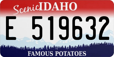 ID license plate E519632