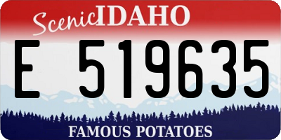 ID license plate E519635
