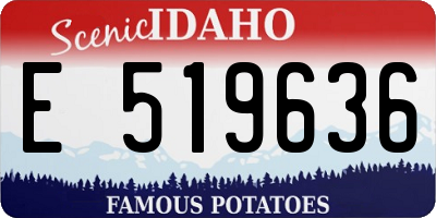 ID license plate E519636