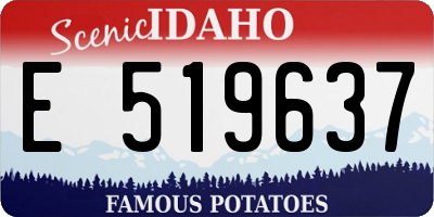 ID license plate E519637