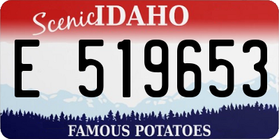 ID license plate E519653