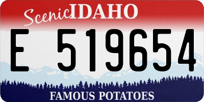 ID license plate E519654