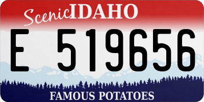 ID license plate E519656