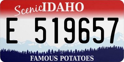 ID license plate E519657