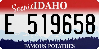 ID license plate E519658