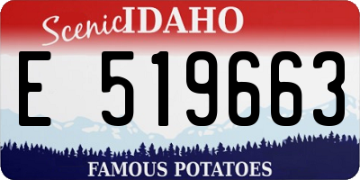 ID license plate E519663