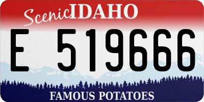 ID license plate E519666