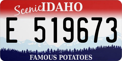 ID license plate E519673