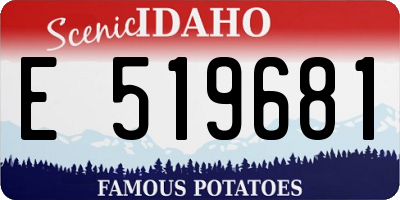 ID license plate E519681